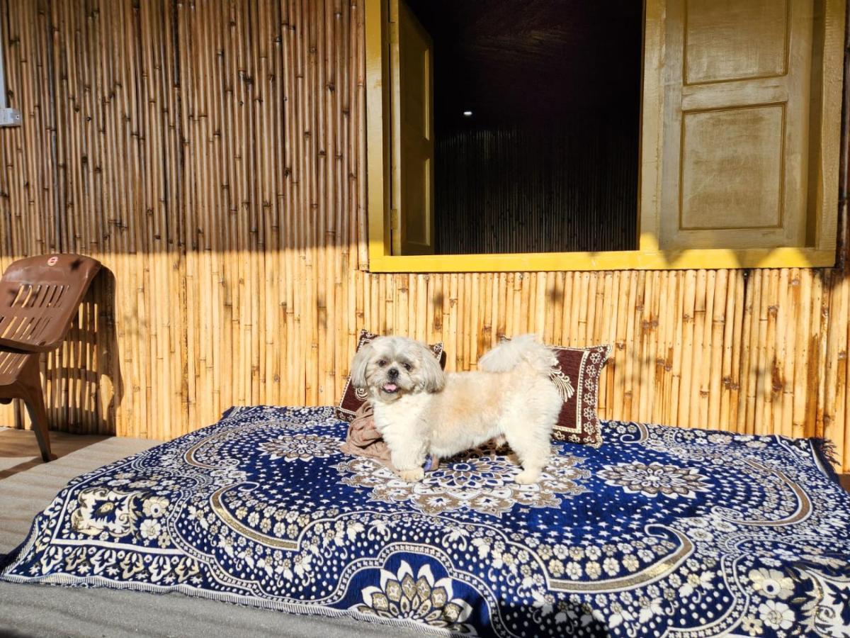Pahaadi Dhun Homestay Chamba  Extérieur photo